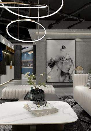 ׸˹• INSϵƷ|(zh)ēbЧD